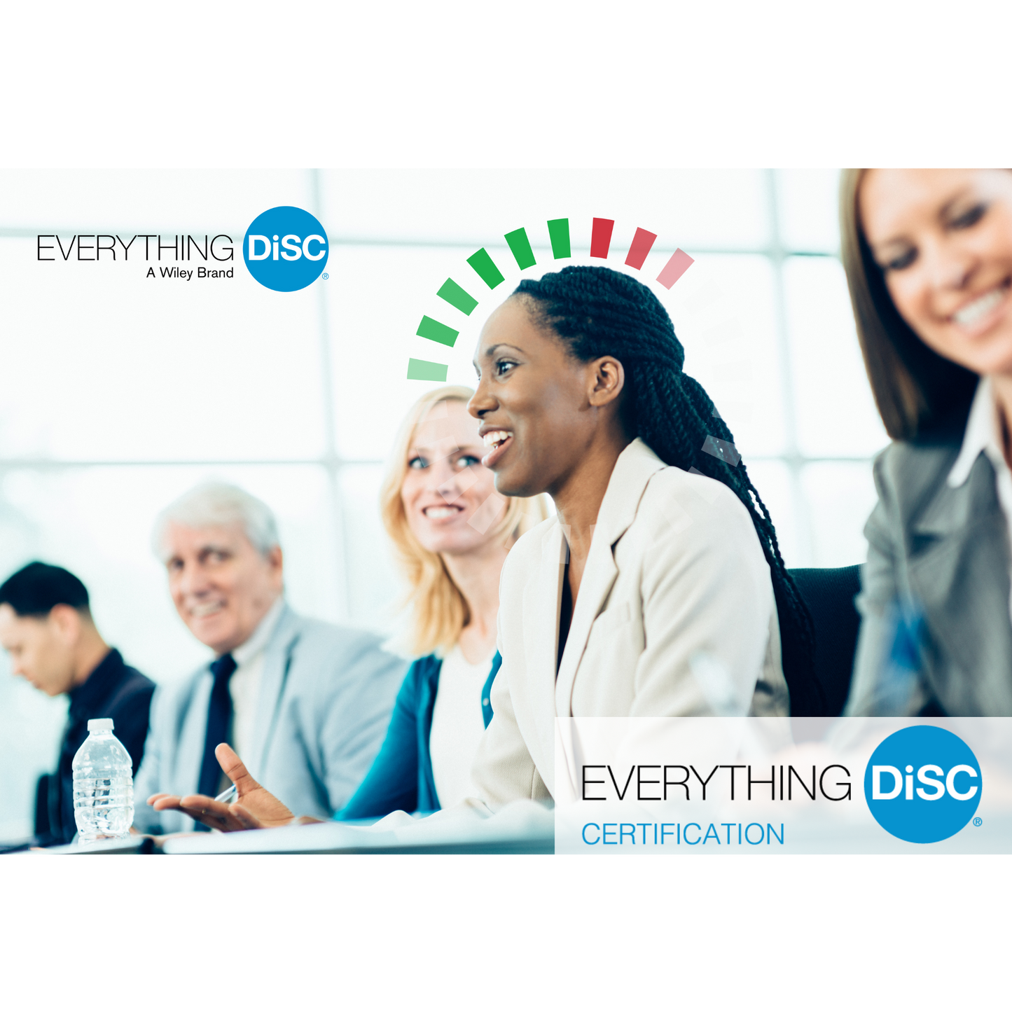 Everything DiSC Certification